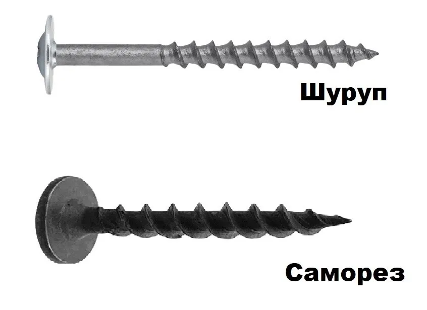xbv9cv0q0xzun85orly0iimski2qyjk6.jpg xbv9cv0q0xzun85orly0iimski2qyjk6.jpg